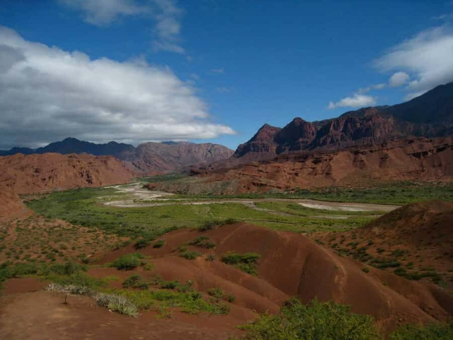 From Salta: Full-Day Tour to Cafayate with Wine Tasting - Tobacco Country to Quebrada: how this day starts