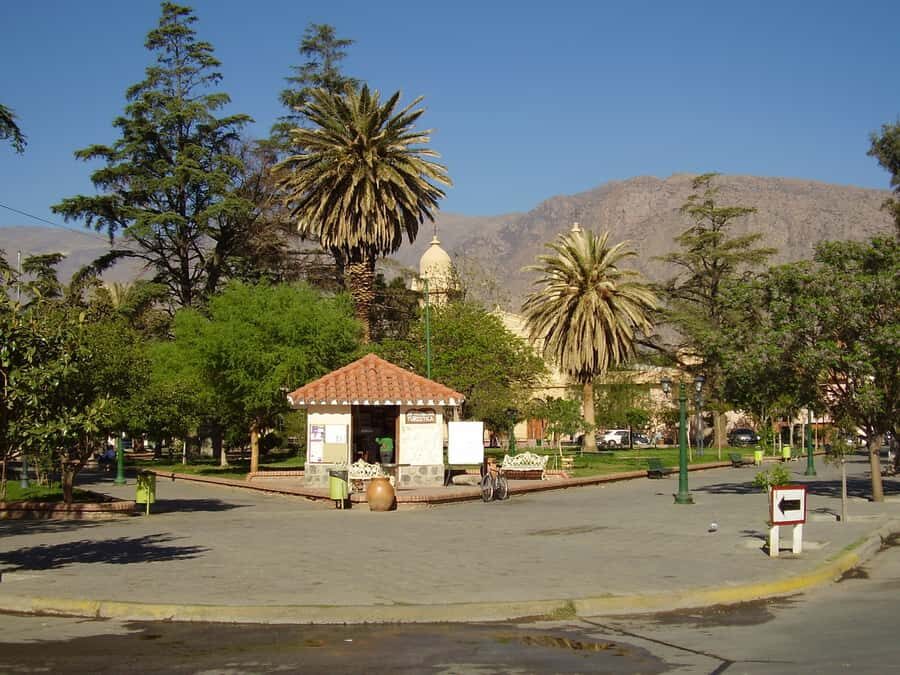 From Salta: Full-Day Tour to Cafayate with Wine Tasting - The winery visit: what you get (and what to watch for)