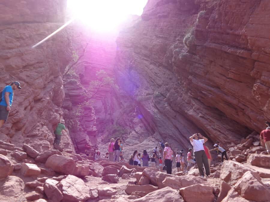 From Salta: Full-Day Tour to Cafayate with Wine Tasting - Devil’s Throat and the House of the Parrots: the stops that make it worth it