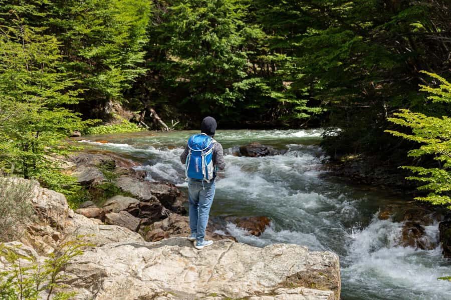 From Ushuaia: Discover Tierra del Fuego National Park - Pipo River and Mount Susana: where the views start to feel real
