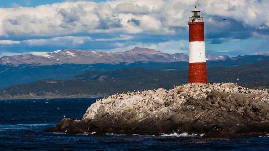 From Ushuaia: Penguin Watching Tour by Catamaran - Sea air, catamaran comfort, and what 5 hours feels like