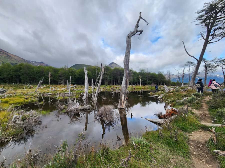 From Ushuaia: Tierra del Fuego Emerald Lagoon Trekking Tour - The walk itself: 5 km in, 250 m of uneven ground, lots of mud
