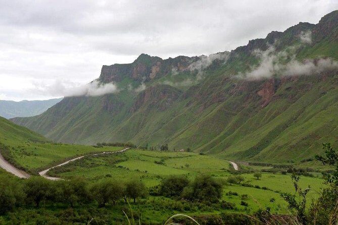 Full-day Cachi and Los Cardones National Park from Salta - Los Cardones National Park: The Cactus Walk That Feels Like Another World