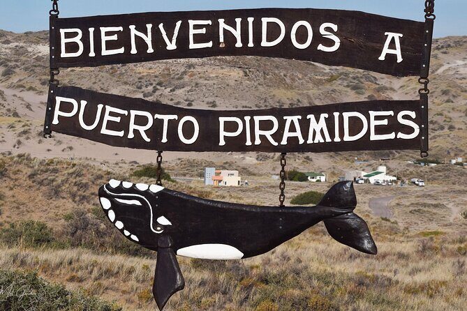 Full Day Peninsula Valdes Experience - optional Whale Watching - Istmo Ameghino Visitors Center: the quick orientation stop