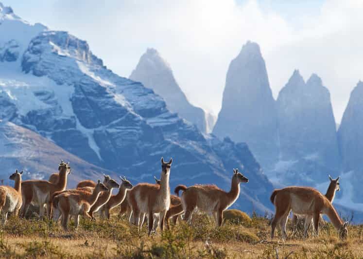 Full-Day Torres del Paine National Park from El Calafate - Food, rest breaks, and what to bring to protect your mood