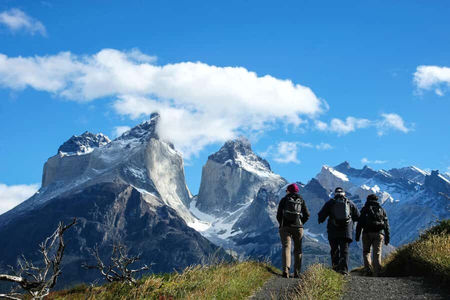 Full-Day Torres del Paine National Park from El Calafate - The long drive puzzle: border time, comfort on board, and why you should plan early