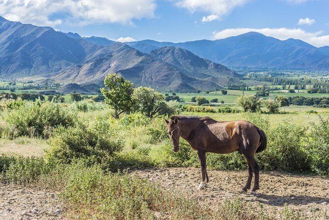 Full-Day Tour Cafayate Calchaqui Valleys with Wine - Key Things That Make This Tour Work