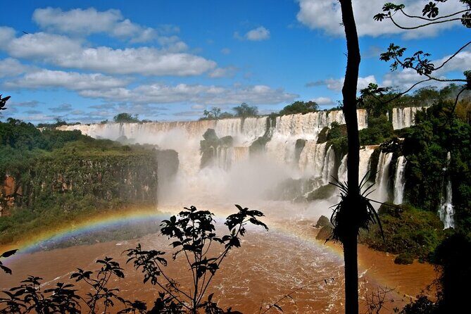 Full Tour to Brazilian Falls + Bird Park ! - Price Check: What $100 Covers, and What Adds Up