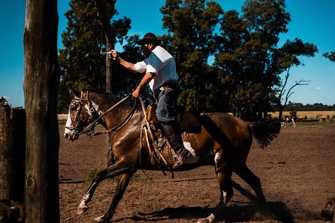 Gaucho Day Trip from Buenos Aires: Santa Susana Ranch - A Pampas Day That Feels Like a Reality Check