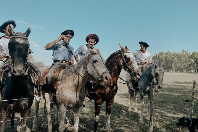 Gaucho Experience: A Day Trip to Don Silvano Ranch - Why This Don Silvano Ranch Day Feels Like More Than a Typical Tour