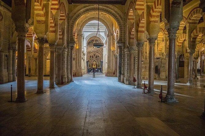 Guided tour of the Mosque with entrance included - Inside the monument: what the guide actually helps you notice