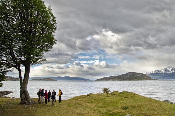 Half-Day Tierra del Fuego National Park with Lunch and Drinks - What This Half-Day Tour Gets Right From Ushuaia