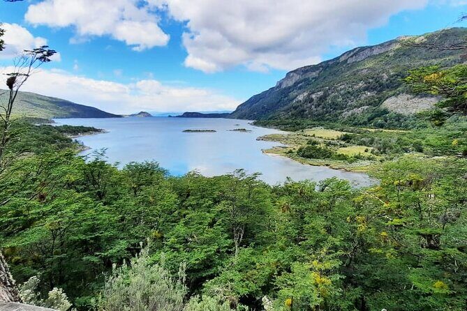 Half-Day Tierra del Fuego National Park with Train - A Half-Day to the Edge of the World: what this trip feels like