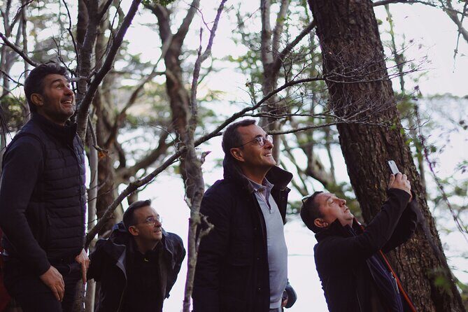 Half-Day Tierra del Fuego National Park with Train - Southern Fuegian Railway: the 7 km story of prisoners and firewood