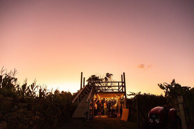 Harvest Evening - Grape Pisa at Vinhos Cristofoli - The Tractor Ride Up to Sangiovese and Chardonnay Vineyards