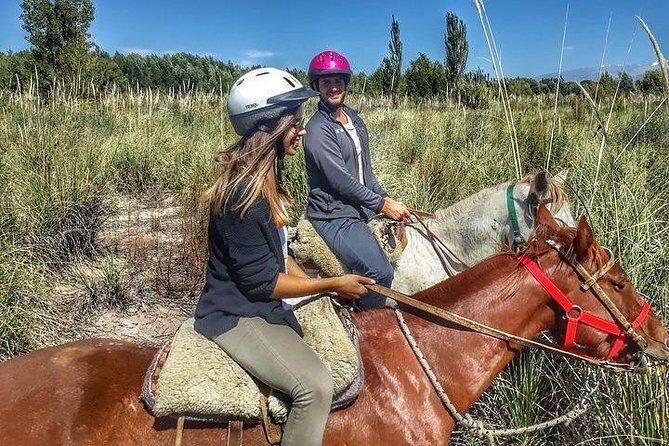 Horseback ride through vineyards followed by gourmet lunch - Getting there from Mendoza City to Lunlunta stables