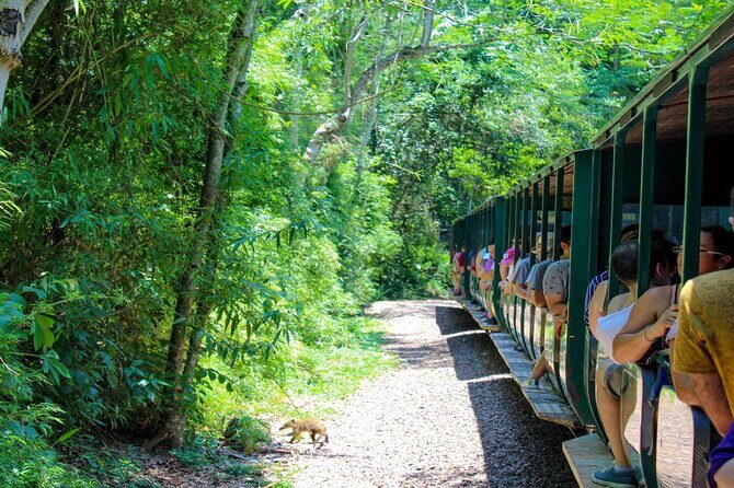 Iguazu Falls: Argentinian Side with Boat Ride, Jungle-truck and Train - Crowd reality: Iguazú is popular, so plan your mindset