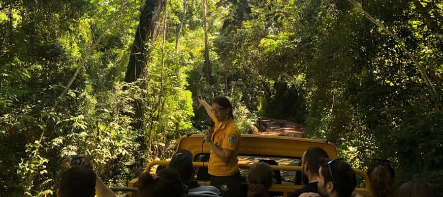 Iguazu Falls: Gran Aventura Boat and Argentinian Falls Tour - Jungle time and the 4x4 ride: why it’s more than a break