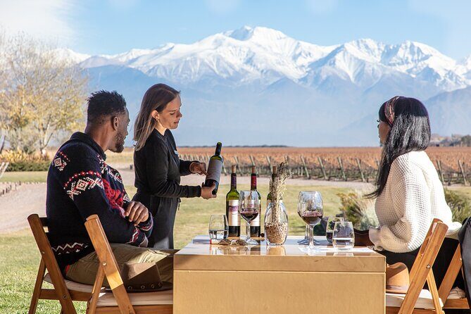 Lujan Deluxe - Full day - Premium Wine Tour with Gourmet Lunch - Key highlights you’ll feel right away