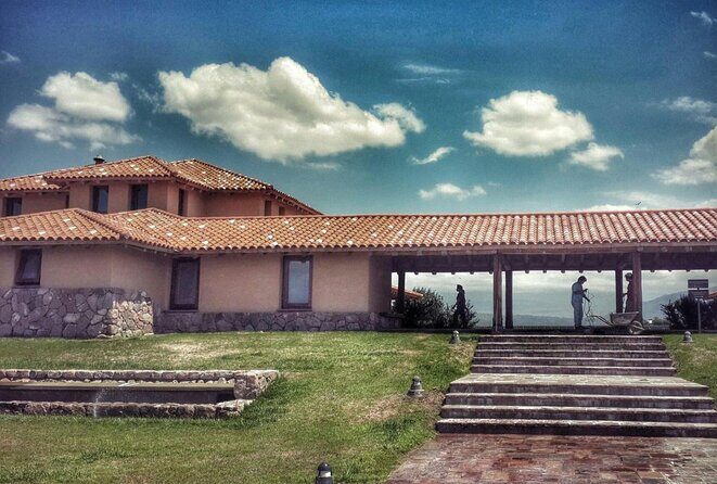 Lujan Deluxe - Full day - Premium Wine Tour with Gourmet Lunch - Lunch That Feels Local: Paired Wines and Modern Takes on Argentine Classics