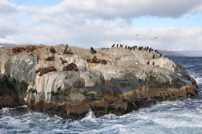 Martillo Island: Boat Trip to the Penguin Colony & Beagle Channel - From Ushuaia Port to the Beagle Channel: How the Day Starts
