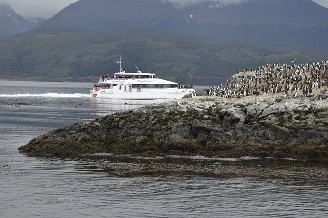 Martillo Island: Boat Trip to the Penguin Colony & Beagle Channel - Les Eclaireurs Lighthouse: Cormorants and the SS Monte Cervantes Story