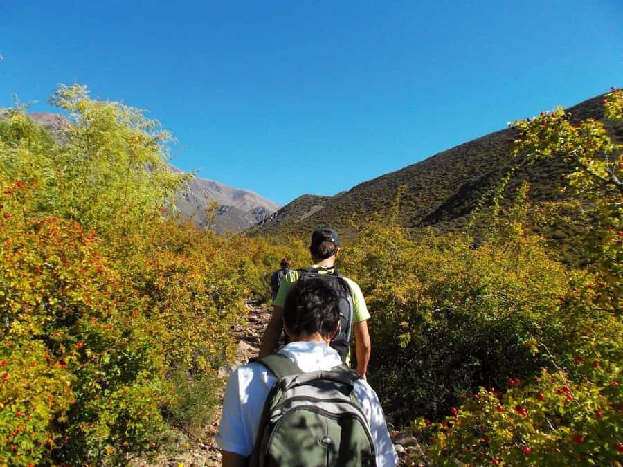Mendoza: 4-Hour Mountain Trekking With Lunch - The descent and the base-camp return: where the day stretches