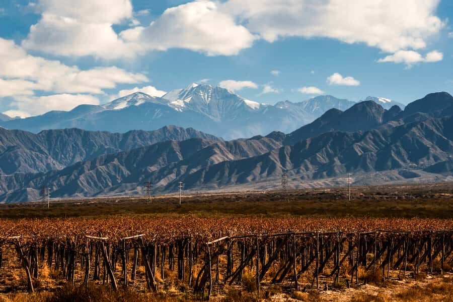 Mendoza: Full Day Wine Tour with 3 Course Lunch - Key Things I’d Pay Attention To