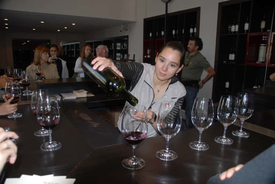 Mendoza: Full Day Wine Tour with 3 Course Lunch - Should You Book This Mendoza Wine Tour?
