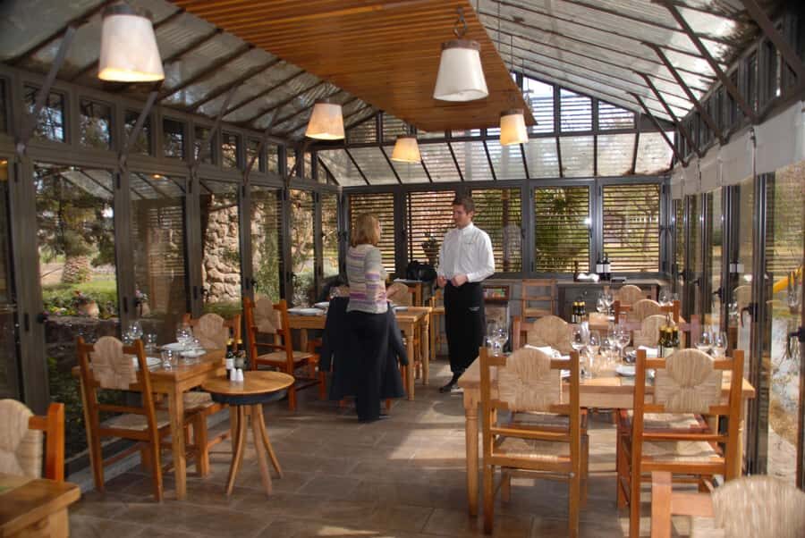 Mendoza: Full Day Wine Tour with 3 Course Lunch - Lunch at the Winery: 3 Courses With Drinks or a Salentein Picnic