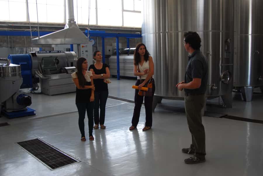 Mendoza: Full Day Wine Tour with 3 Course Lunch - Small Risks to Know Before You Go