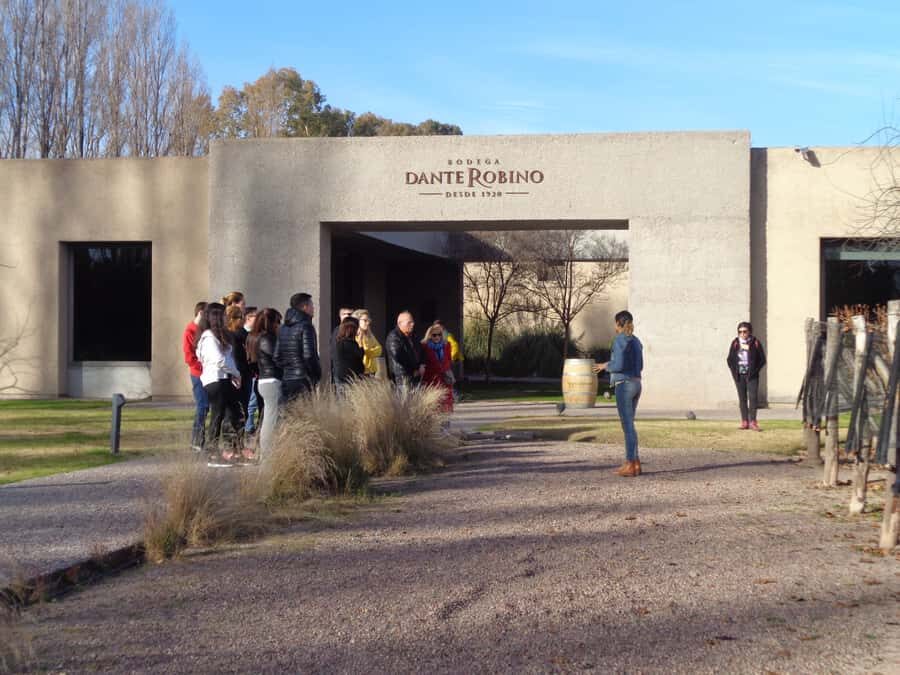 Mendoza: Half-Day Wine Tour with Tastings - Key things to know before you go