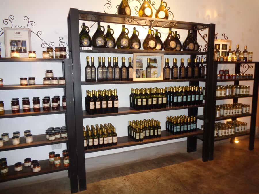 Mendoza: Half-Day Wine Tour with Tastings - Desert to oasis: what this tour teaches you (beyond wine)