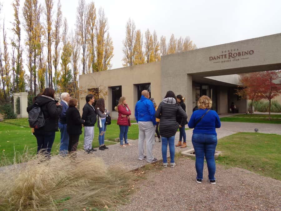 Mendoza: Half-Day Wine Tour with Tastings - Winery Stop 1: your first guided tasting in Luján de Cuyo or Maipú