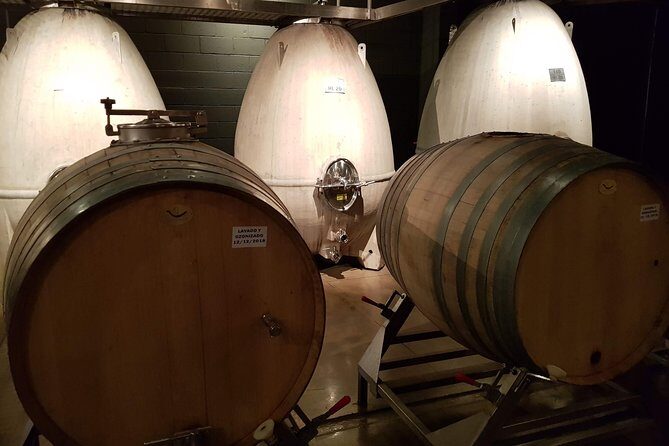 Mendoza Hop-On Hop-Off Wine Tour - Key takeaways before you buy