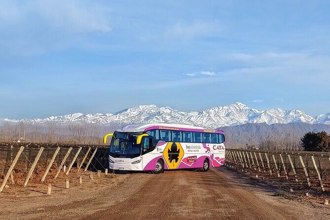 Mendoza Hop-On Hop-Off Wine Tour - Choosing Your Route: Maipú, Luján de Cuyo, El Sol, and Uco Valley