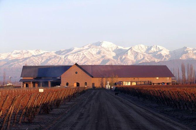 Mendoza Hop-On Hop-Off Wine Tour - Uco Valley Sur: Full-Day Mode for Deeper Winery Time