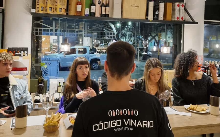 Mendoza: Premium Wine Tasting - Pairing board: charcuterie and cheese that actually helps your tasting