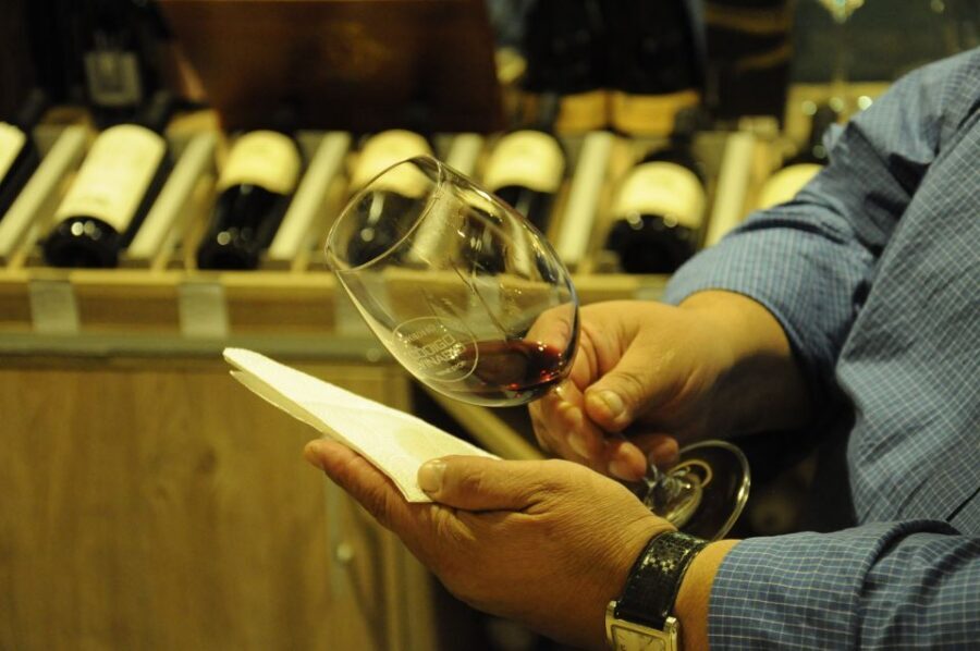 Mendoza: Premium Wine Tasting - Should you book this Mendoza premium tasting?