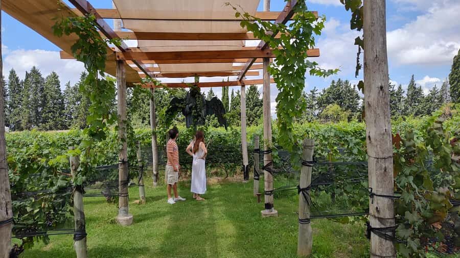Mendoza: Top Wineries Guided Tour with Transportation - Quick Hits You’ll Feel Right Away