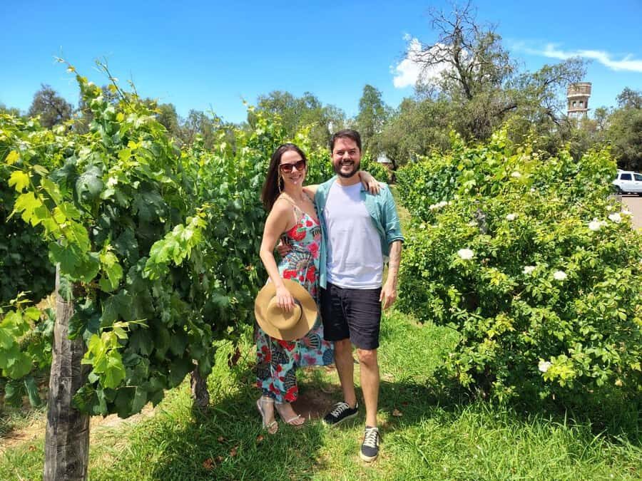 Mendoza: Top Wineries Guided Tour with Transportation - Luján de Cuyo Stops: Big Names and Small Producers