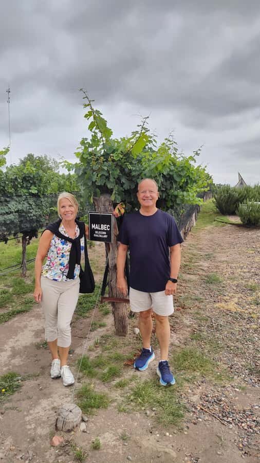 Mendoza: Top Wineries Guided Tour with Transportation - Price and What’s Included (The $140 Math)