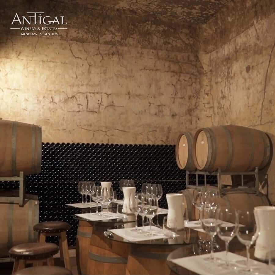 Mendoza: Wine Tasting Tour with Lunch and Private Transport - Key things I’d circle before you book