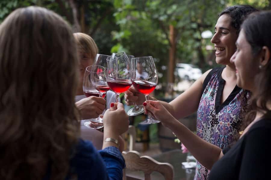 Mendoza: Wine Tasting Tour with Lunch and Private Transport - Should you book it?