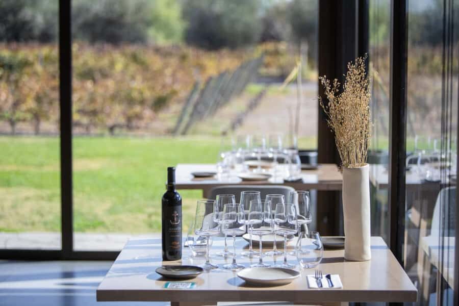 Mendoza: Wine Tasting Tour with Lunch and Private Transport - Door-to-door private transport in Mendoza