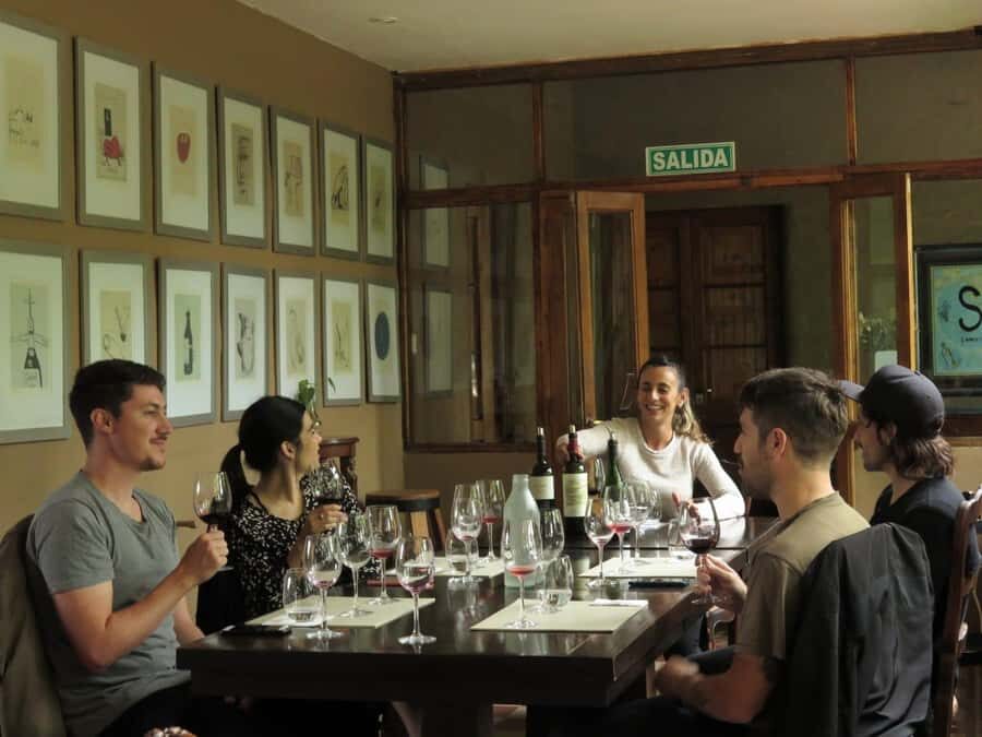 Mendoza: Wine Tasting Tour with Lunch and Private Transport - Santa Julia to Carinae: how the winery selection shapes your day