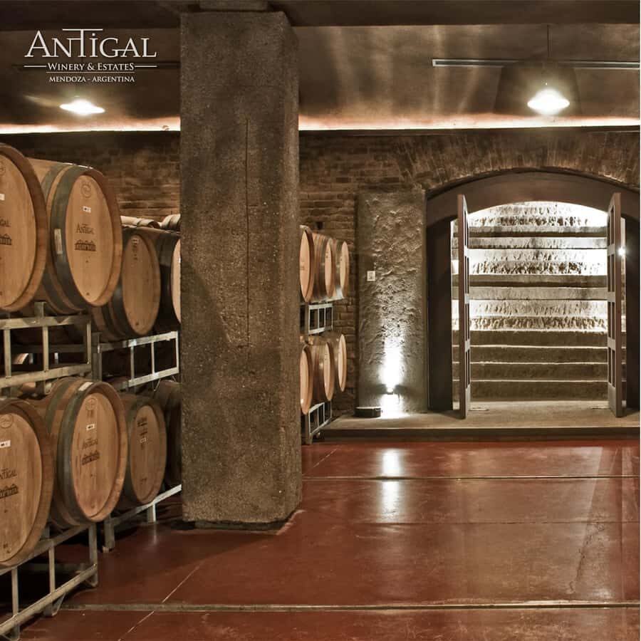 Mendoza: Wine Tasting Tour with Lunch and Private Transport - Language matters more than you think