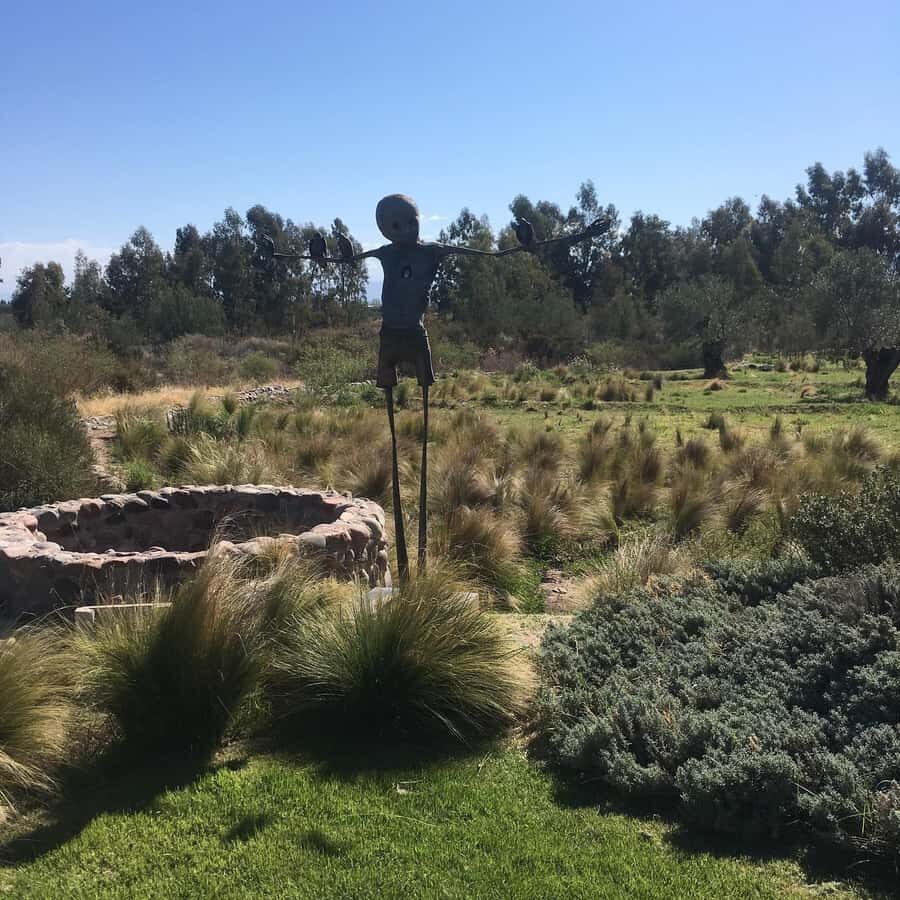 Mendoza: Wine Tasting Tour with Lunch and Private Transport - Who this wine tour suits best