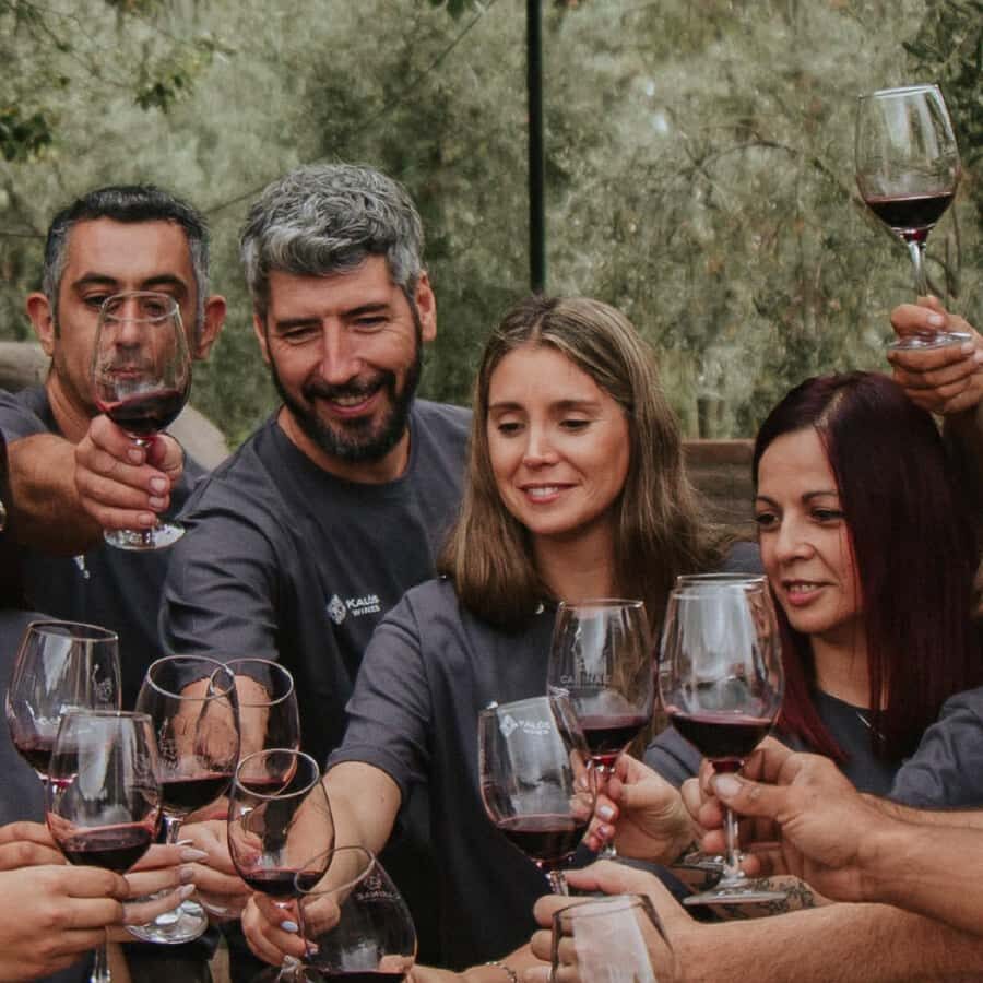 Mendoza: Wine Tasting Tour with Lunch and Private Transport - Two winery stops, not a whirlwind