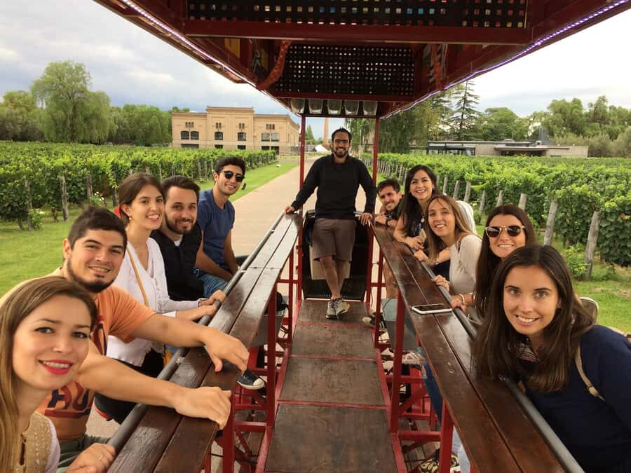 Mendoza: Winebike Tasting Tour with Optional Lunch - Mendoza wine country with wheels, not just wine pours
